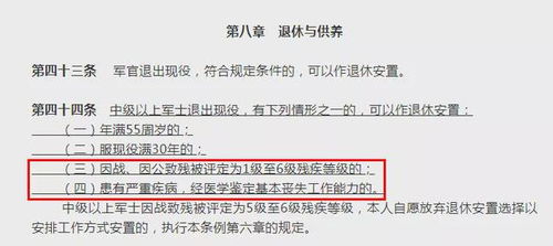 如何在龙湾实现高效盈利？这里有你想知道的答案！
