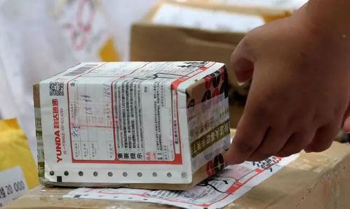 大学回收快递纸板盈利如何？环保创收两不误的秘密
