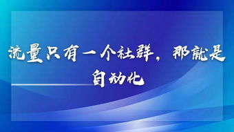 如何运用狼性思维实现高效盈利？