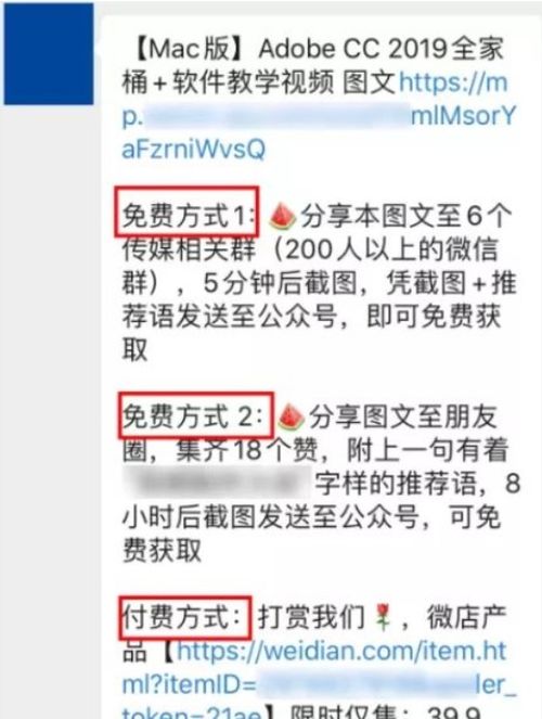 小白如何通过韭菜副业项目实现收入增长？