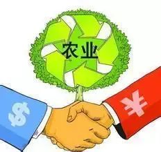 在偏远乡村，哪种创业项目能迅速带来收益？
