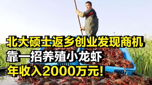 大学生回乡如何找到赚钱机会？