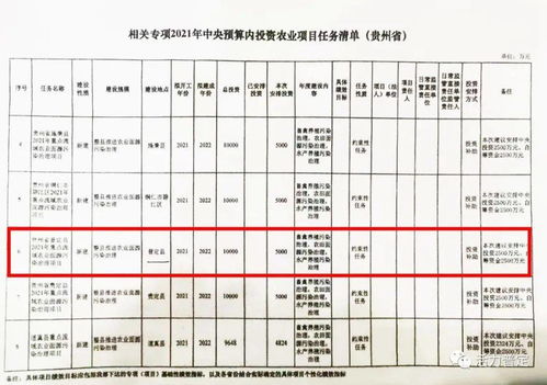 在新农村建设中，哪些项目最具赚钱潜力？