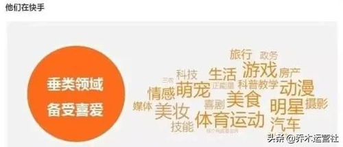 如何在快手上迅速找到最有效的赚钱途径？