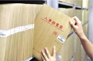 如何正确填写人事档案存放单位信息？