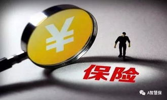 在美国购买保险，哪种类型最具盈利潜力？