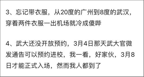 你是否也曾在副业路上跌倒过？我的失败经历分享