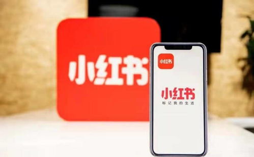 小红书只发作品就能赚钱吗？真相在这里揭晓