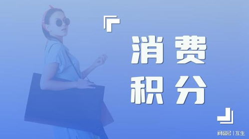 如何兼顾赚钱与享受生活，实现真正的潇洒人生？
