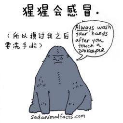 你真的了解那些不为人知的赚钱秘径吗？