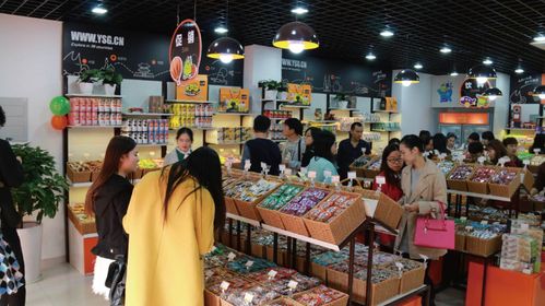 在广州加盟犬舍真的能盈利吗？投资回报率如何？