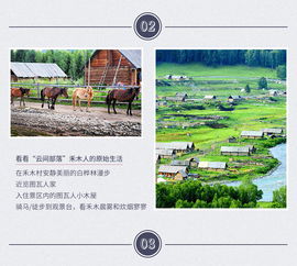 西安自助游，团购平台哪家强？探索最佳旅游团购选择！