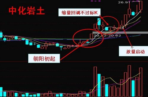 是否存在不为人知的快速盈利途径？