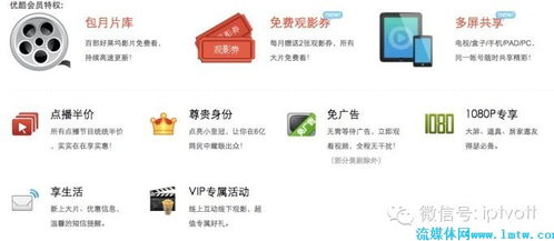 朝阳自助直播平台官网有哪些独家功能与服务？
