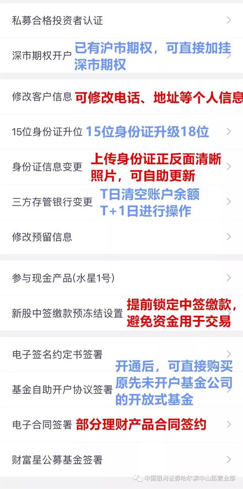 如何高效办理平安自助业务？掌握这些技巧让你轻松操作！