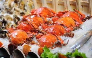青岛海鲜自助哪家强？评价网站带你探索最佳美食体验！