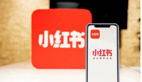 小红书上的业务自助购买平台，你真的了解如何使用吗？