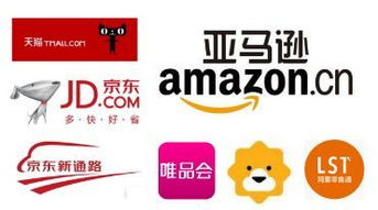 龙泉名品集团的自助平台究竟有哪些独特之处和功能？