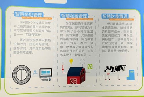 在学校销售哪种牛奶最赚钱？选择指南大揭秘！