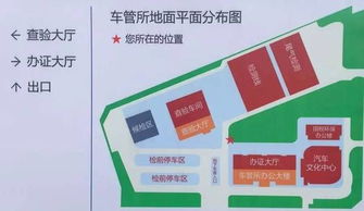 如何轻松在山东自助办理业务？这篇指南让你一目了然！