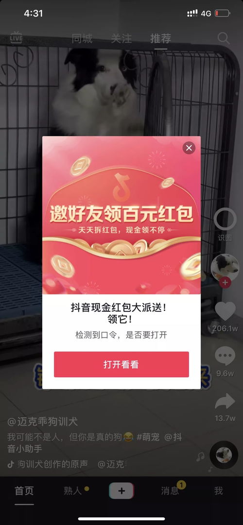 靖西抖音团购如何使用自助平台？一键探索本地优惠的秘密！