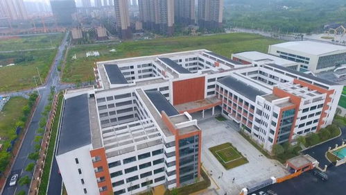 宜春学院学生如何使用自助报道平台？探索高效入学新方式