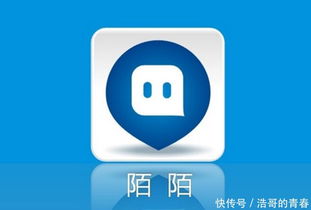 陌陌的在线自助平台究竟如何使用？它的功能亮点有哪些？