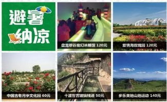 新河地区最火的自助团购网站官网是哪个？探索优惠好去处！