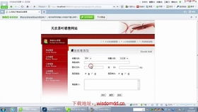 如何选择山东网站建设中的自助建站服务？