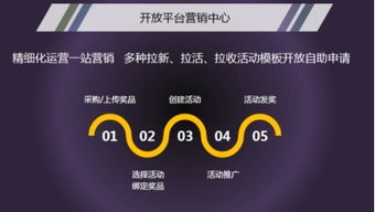 想要轻松购买卡密？揭秘卡密自助购买平台的使用技巧！