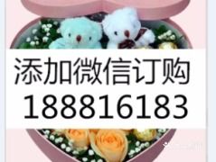 想要品尝蒙城美食？哪个自助团购平台优惠最多、选择最丰富？