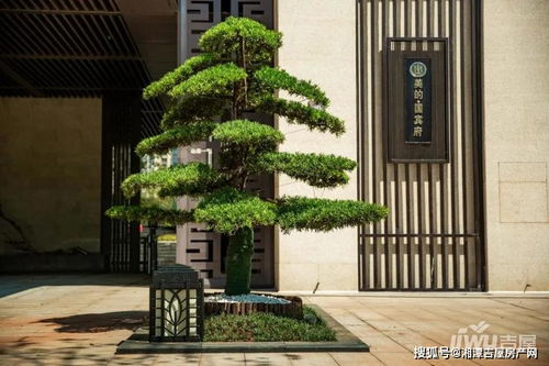 想要自助卖房？湘潭哪一家官网提供自助卖房服务入口？