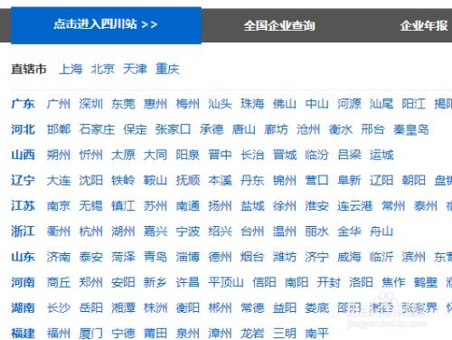 如何观看自助年审业务流程的视频指南？这个流程有哪些关键步骤？