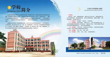 辛集中学自主招生官方网站究竟有哪些功能和亮点？