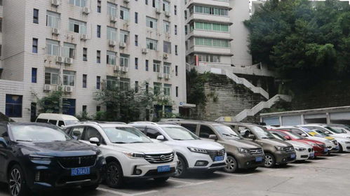 涪陵哪里可以找到自助租车平台的联系电话？
