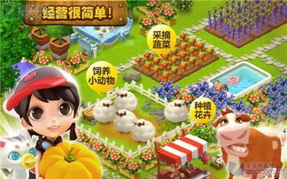 如何进入开心岛自助平台官网？探索独家自助服务入口指南