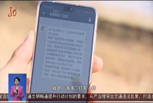 小熊自助接单平台的客服电话是多少？如何快速联系他们？