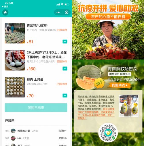 如何通过拼多多自助平台高效下单？掌握这些技巧轻松购物！
