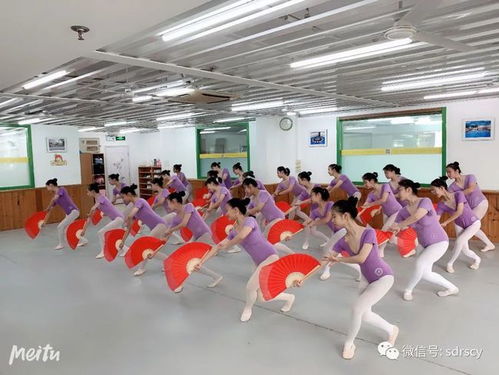 室内舞蹈自助服务平台官网，是您的最优选择吗？