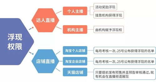 金海湾自助直播平台官网究竟有哪些独特功能与服务？