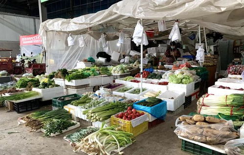 宜春哪里有自助买菜平台？联系电话是多少？