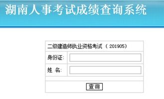 如何访问湖南二建自助报名网站进行查询报名状态？