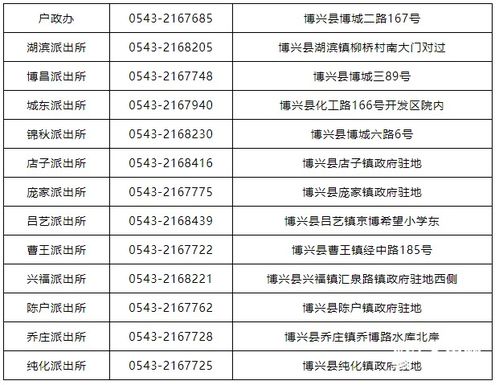 屯里车管所的自助业务时间是如何安排的？自助服务开放时间详解