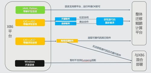 如何运行一款实现自助办税的跨平台系统？