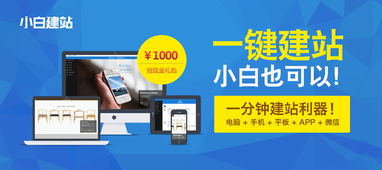 自助建站优化服务费用是多少？如何合理选择服务套餐？