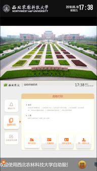 如何进入同济自助打印网站的官方入口？探索高效打印新途径