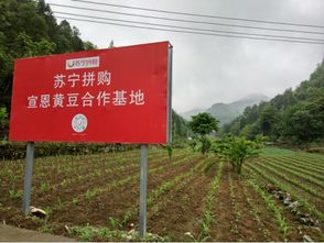 宣恩地区有哪些值得推荐的自助团购网站，你知道几个？
