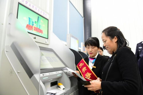 想要高效管理网红业务？揭秘自助平台如何助力事业发展？