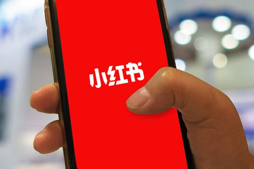 小红书业务如何实现自助服务？探索平台隐藏的使用技巧！