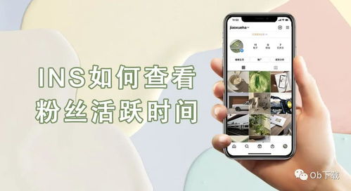想要便捷购买INS粉丝？揭秘自助平台的使用技巧与优势！